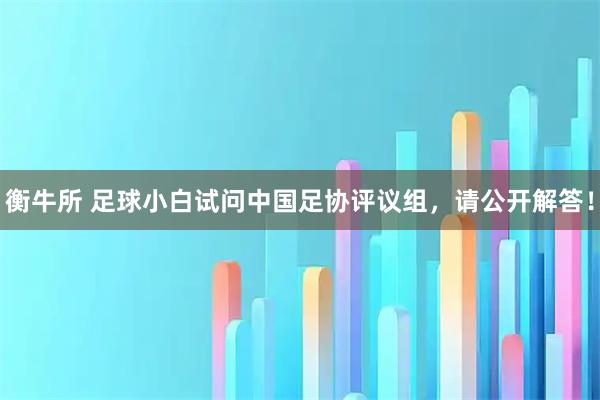 衡牛所 足球小白试问中国足协评议组，请公开解答！
