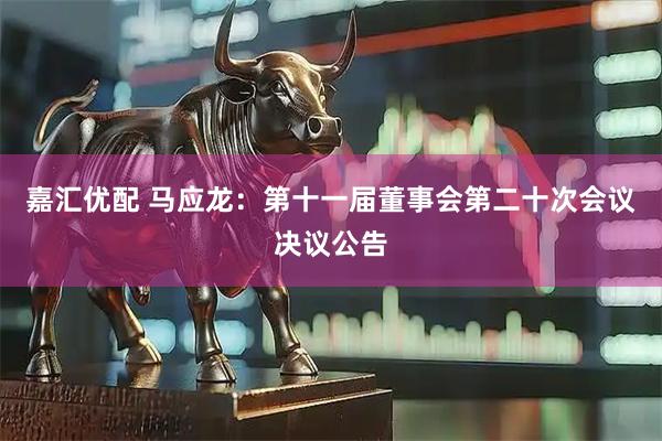 嘉汇优配 马应龙：第十一届董事会第二十次会议决议公告