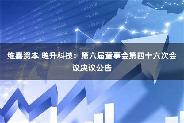 维嘉资本 琏升科技：第六届董事会第四十六次会议决议公告