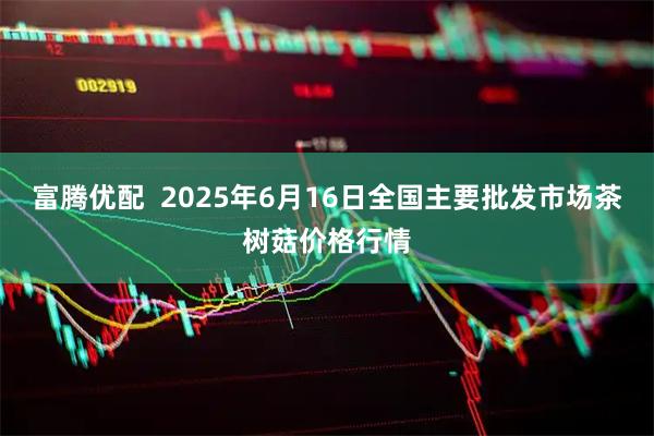 富腾优配  2025年6月16日全国主要批发市场茶树菇价格行情