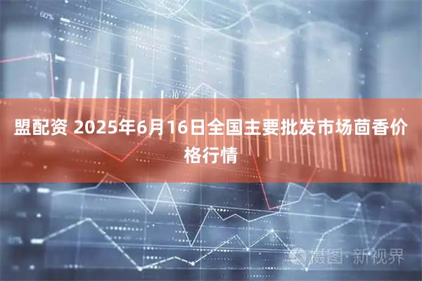 盟配资 2025年6月16日全国主要批发市场茴香价格行情