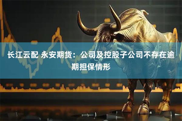 长江云配 永安期货：公司及控股子公司不存在逾期担保情形