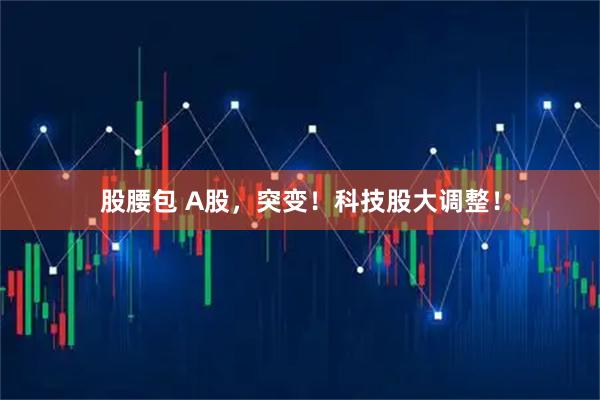 股腰包 A股，突变！科技股大调整！