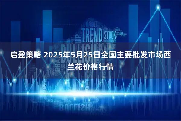 启盈策略 2025年5月25日全国主要批发市场西兰花价格行情
