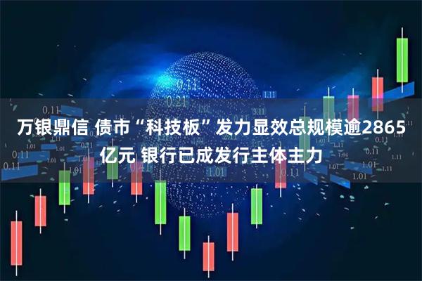 万银鼎信 债市“科技板”发力显效总规模逾2865亿元 银行已成发行主体主力