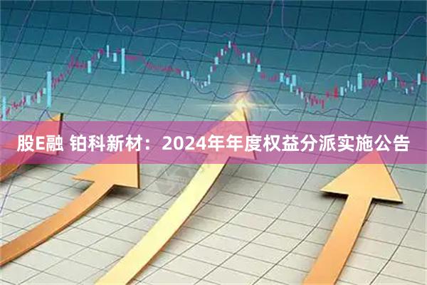 股E融 铂科新材：2024年年度权益分派实施公告