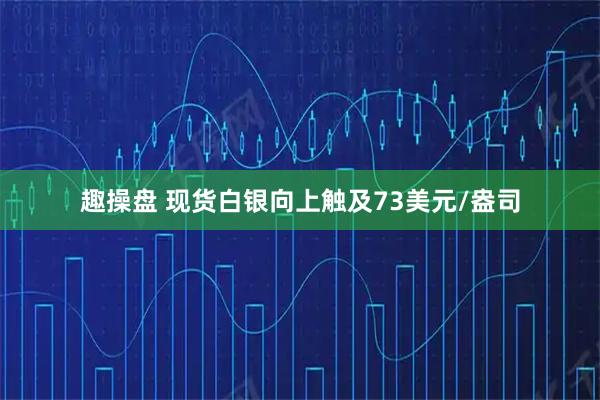 趣操盘 现货白银向上触及73美元/盎司