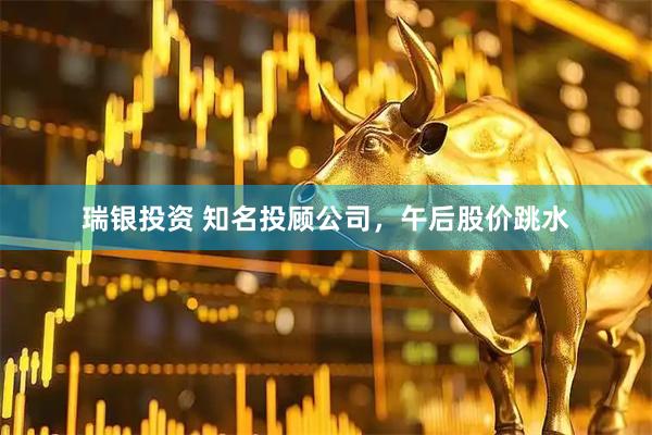 瑞银投资 知名投顾公司，午后股价跳水