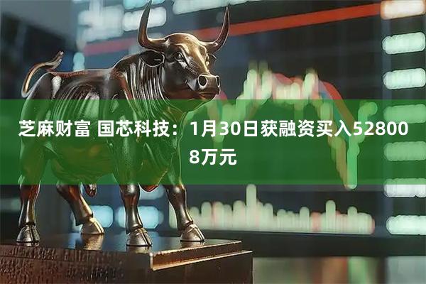 芝麻财富 国芯科技：1月30日获融资买入528008万元