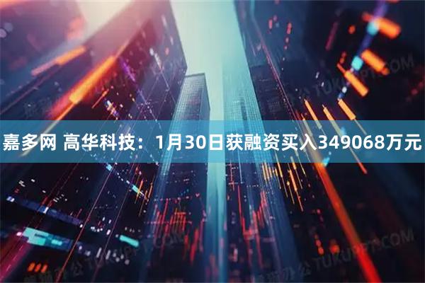 嘉多网 高华科技：1月30日获融资买入349068万元