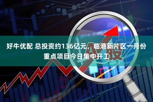 好牛优配 总投资约136亿元，临港新片区一月份重点项目今日集中开工
