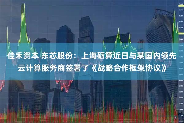 佳禾资本 东芯股份：上海砺算近日与某国内领先云计算服务商签署了《战略合作框架协议》
